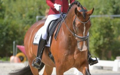 Lowland en Nicole kampioen Ruiterweek 2021 Ons Genoegen